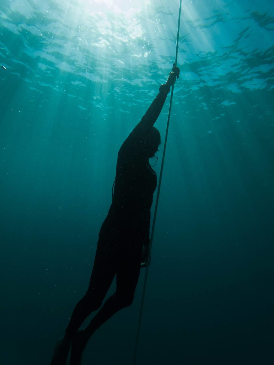 Freediving Courses Philippines