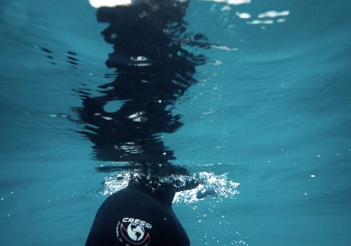 Freediving Courses Philippines